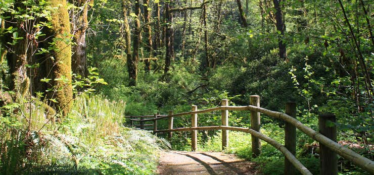 Escape to Serenity: Discover Oregon's Hidden Gem, Vinzenz Lausmann Memorial State Natural Area