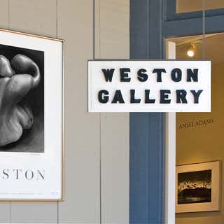 Weston Gallery