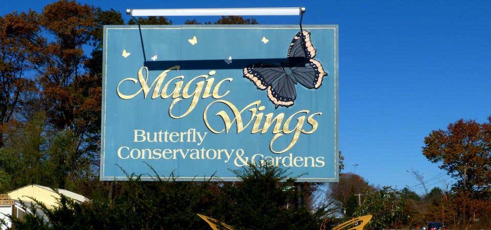 Photo of Magic Wings Butterfly Conservatory