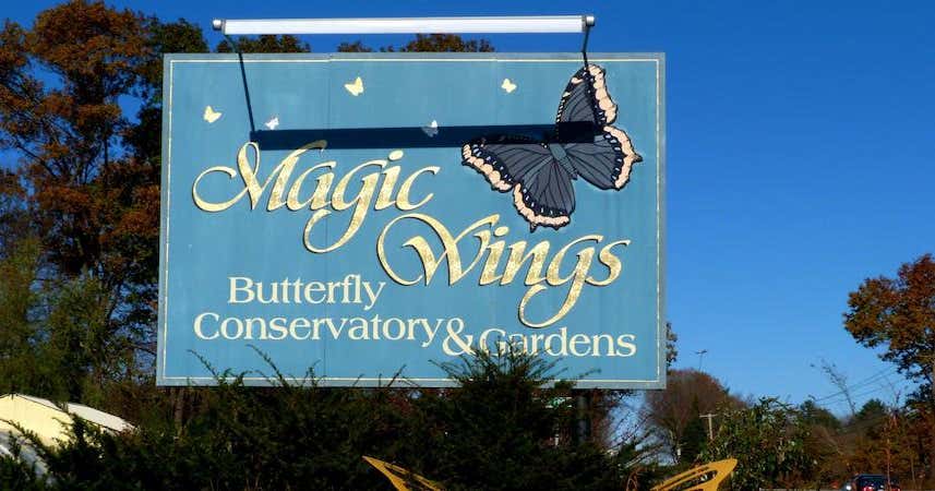 Magic Wings Butterfly Conservatory, Deerfield Roadtrippers