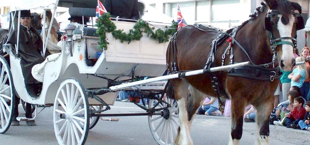 Photo of Seahorse Carriage Company