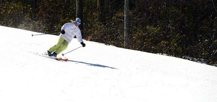 Photo of Butternut Skiing