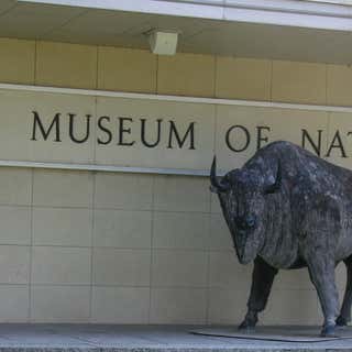 Idaho Museum of Natural History