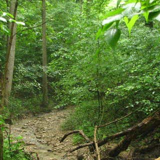 Boone Cliffs Nature Preserve