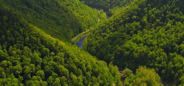 Photo of Pine Creek Gorge