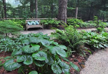Photo of Cape Fear Botanical Garden