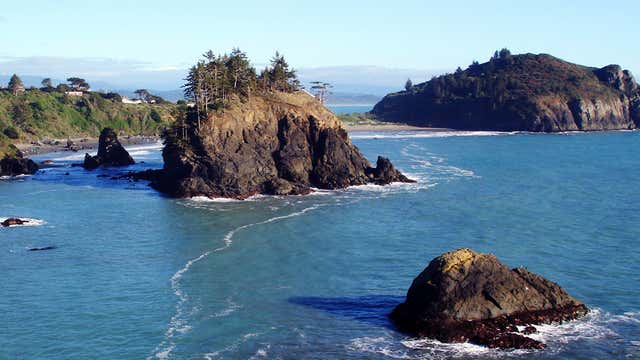 are dogs allowed at trinidad state beach