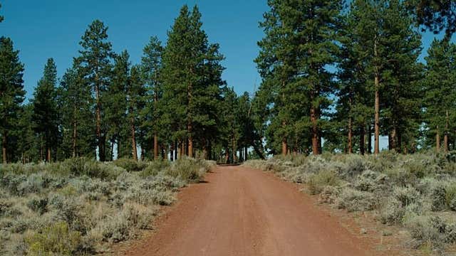 Cabin Lake Campground Bend Or Roadtrippers