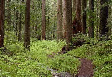 Photo of Unity Forest State Scenic Corridor
