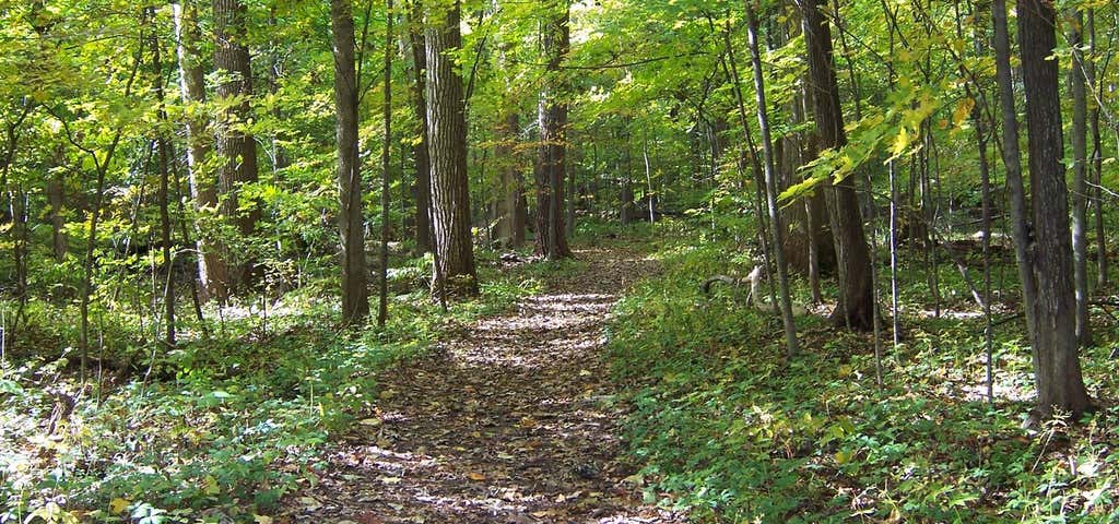 Photo of Goll Woods Nature Preserve