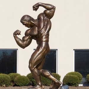 Statue of Arnold Schwarzenegger