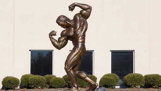 Statue of Arnold Schwarzenegger - Wikipedia