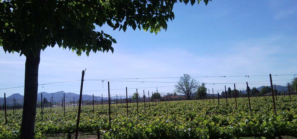 Photo of Sullivan Vineyards