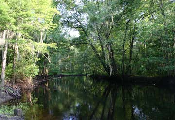 Photo of Little Pee Dee State Park