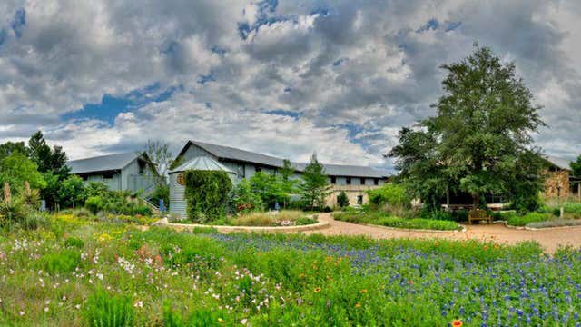Plant a Wildflower Meadow - Lady Bird Johnson Wildflower Center