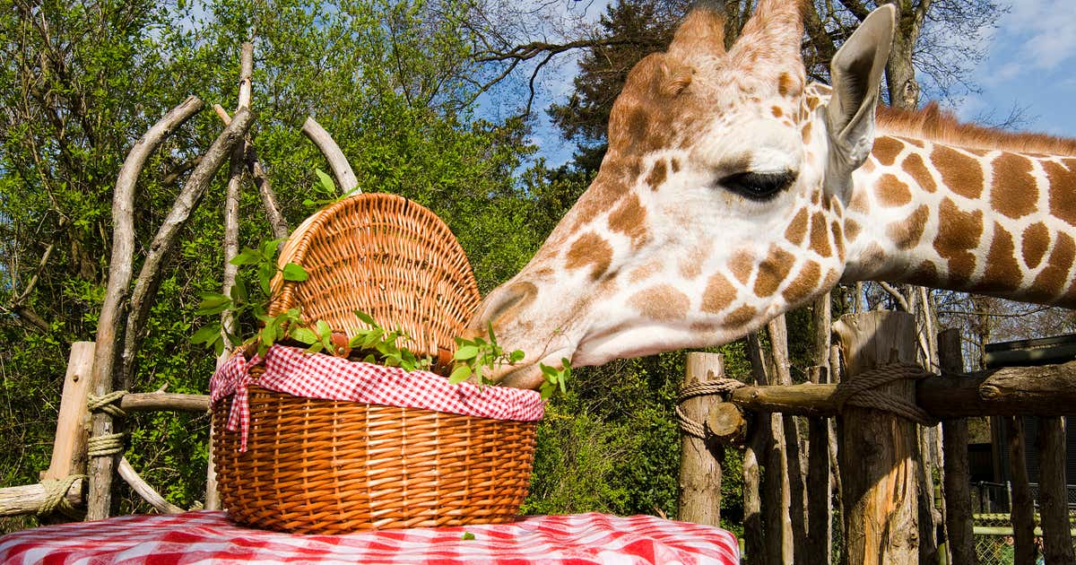 Woodland Park Zoo, Seattle | Roadtrippers