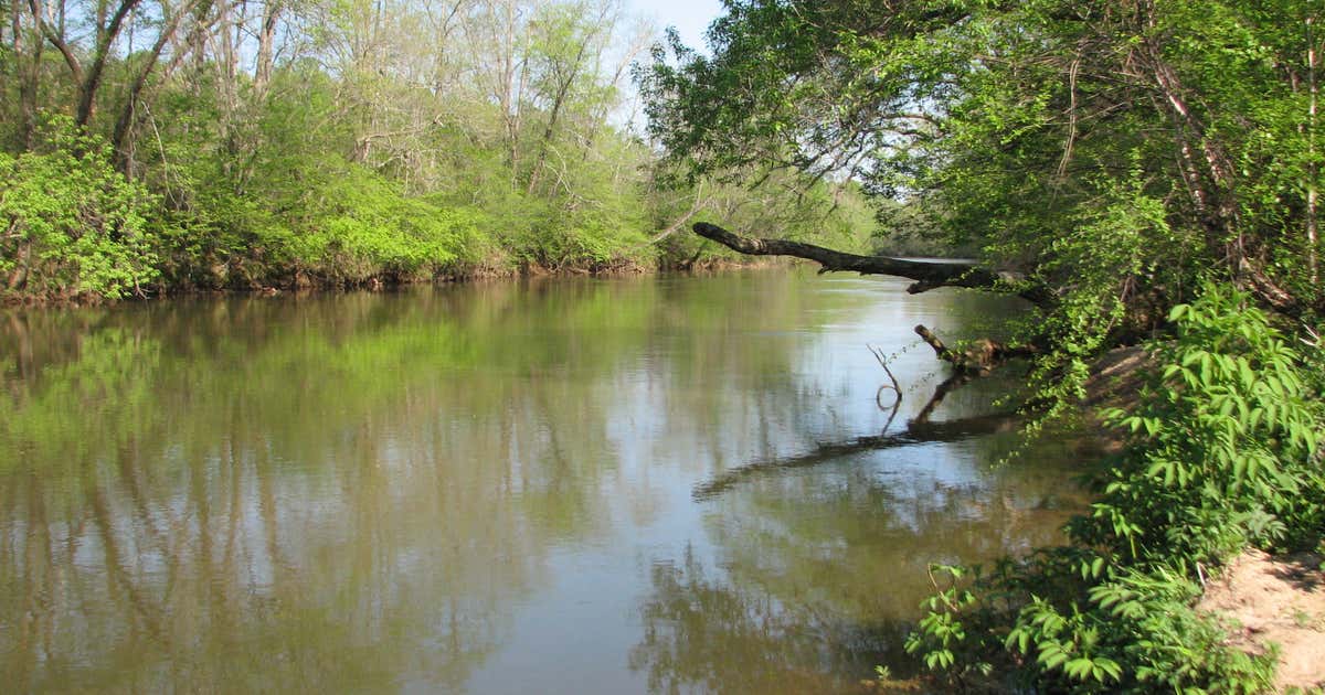 Mayo River State Park, Mayodan Roadtrippers