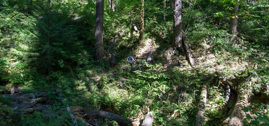 Photo of Chucksney Mountain Trail