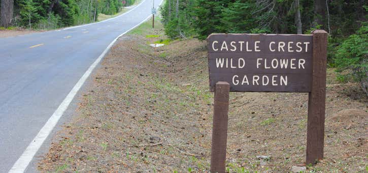 Photo of Castle Crest Wildflower Garden