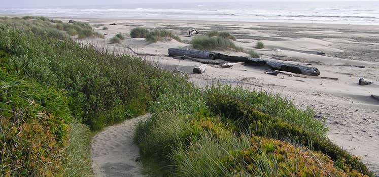 Photo of Driftwood Beach State Recreation Site