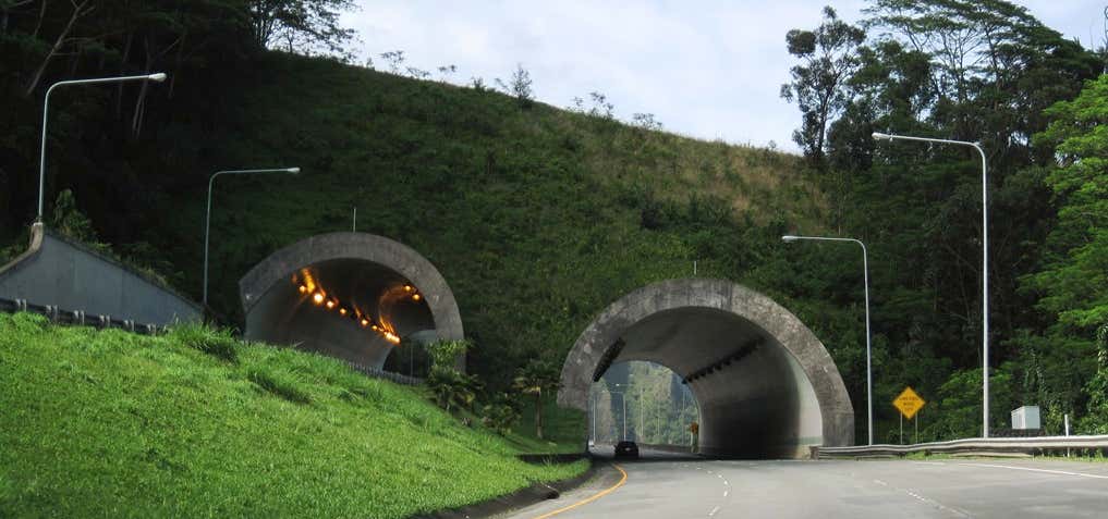 Photo of Tetsuo Harano Tunnels