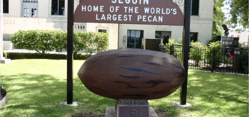 Photo of World's Largest Pecan