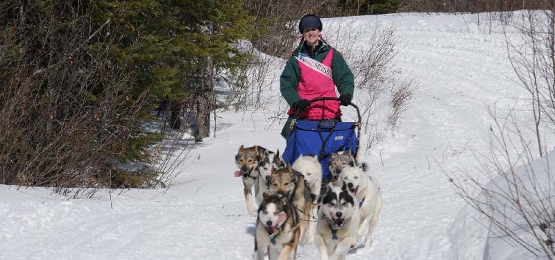 Photo of Briars Patch Sled Dogs Llc