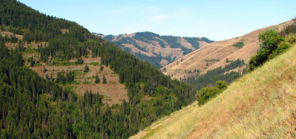 Photo of North Fork Umatilla Trail