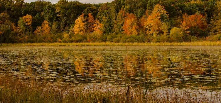 Photo of Goose Lake State Recreation Area