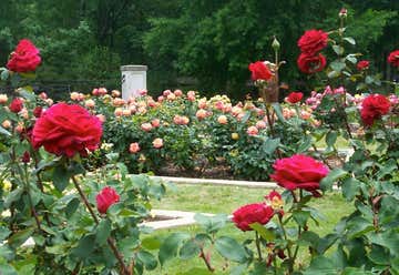 Photo of Dunn Rose Garden