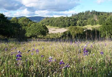 Photo of Trione-Annadel State Park