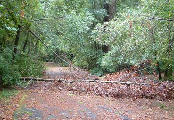 Photo of Little Redwood Campground