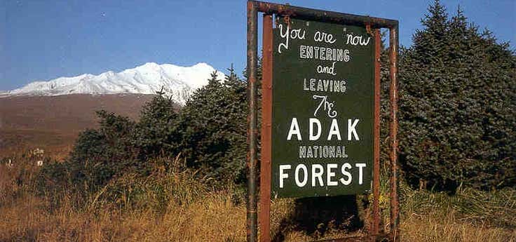 Photo of Adak "National Forest"