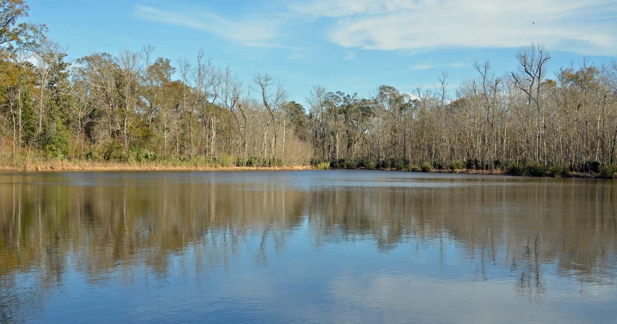 Palmetto Island State Park, Abbeville Roadtrippers