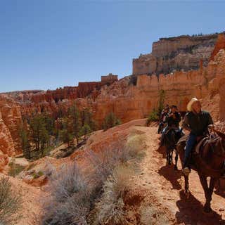 Canyon Trail Rides