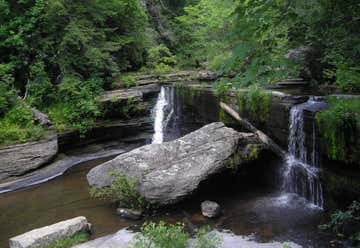 Photo of Savage Gulf State Natural Area, 1780 State Rte 399 Palmer, Tennessee