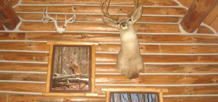 Rustic Rafters Cabins And Camping, Lake City | Roadtrippers