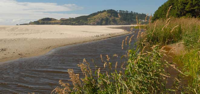 Photo of Agate Beach State Recreation Site