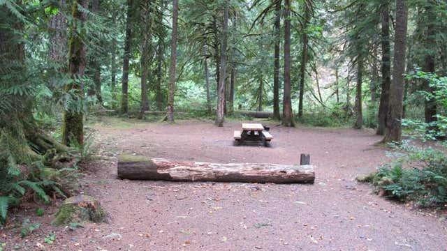 Fish Creek Campground Estacada Or Roadtrippers