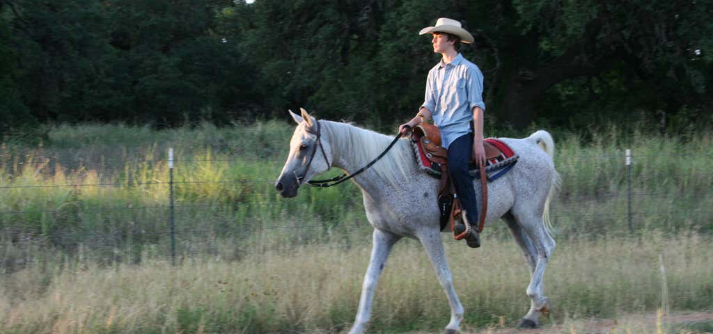 Photo of Texas Trail Rides
