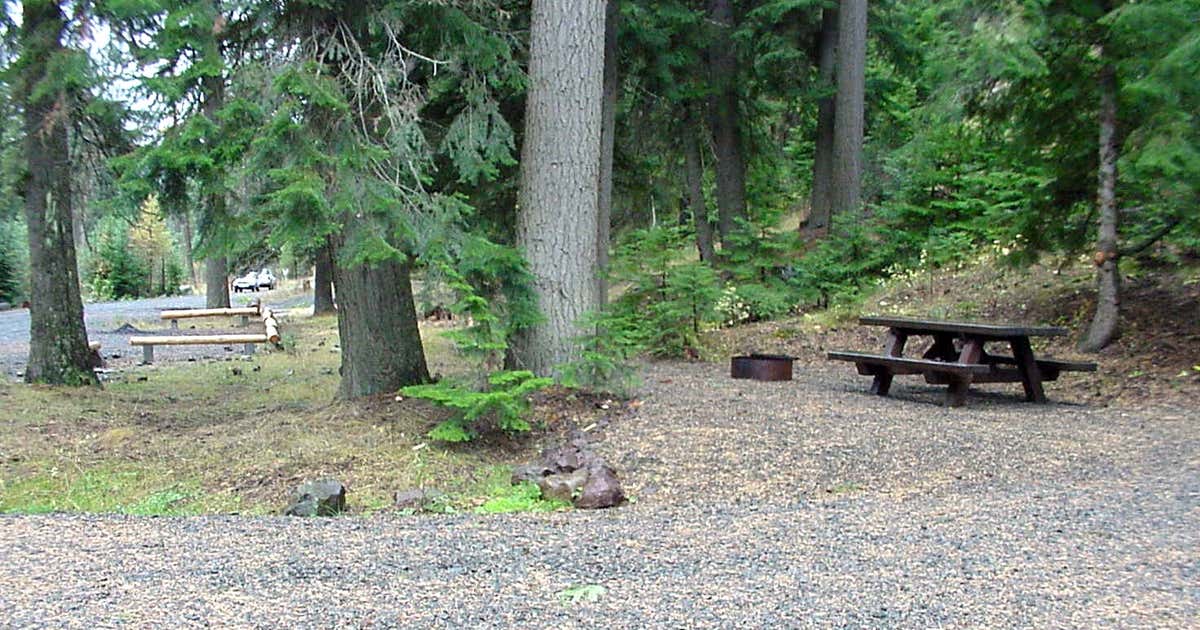 Escape to Oregon's Upper Buck Creek: Your Unforgettable Forest Retreat