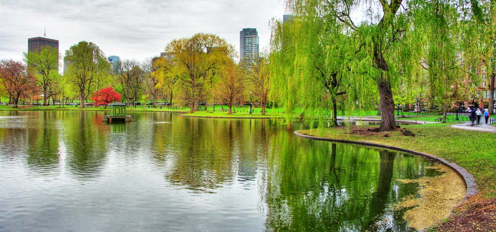 Photo of Boston Public Garden