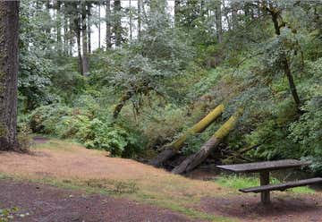 Photo of Alderwood Campground