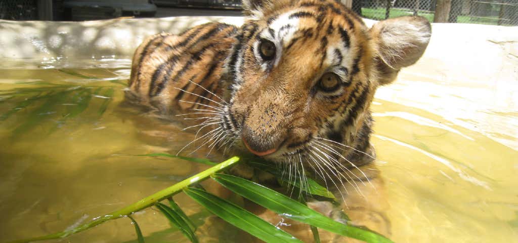 McCarthys Wildlife Sanctuary, West Palm Beach | Roadtrippers