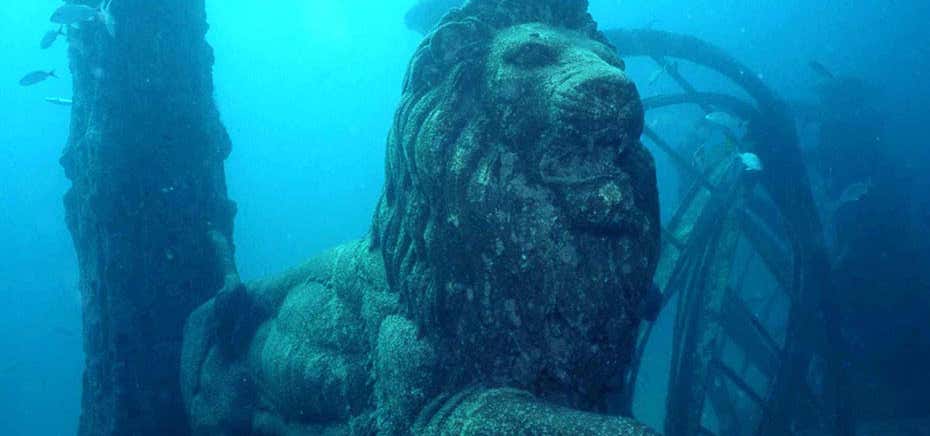 Photo of Neptune Memorial Reef