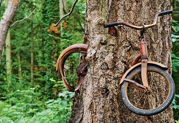 Photo of Bicycle Swallowed by a Tree