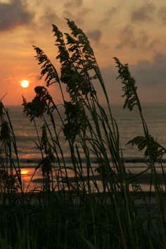 Photo of Pea Island National Wildlife Refuge Roadtrippers