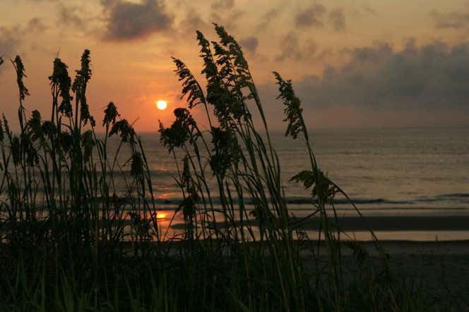 Photo of Pea Island National Wildlife Refuge Roadtrippers