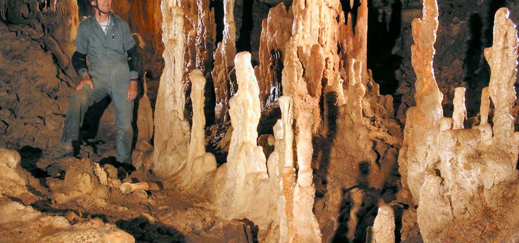 Photo of Kickapoo Cavern State Park