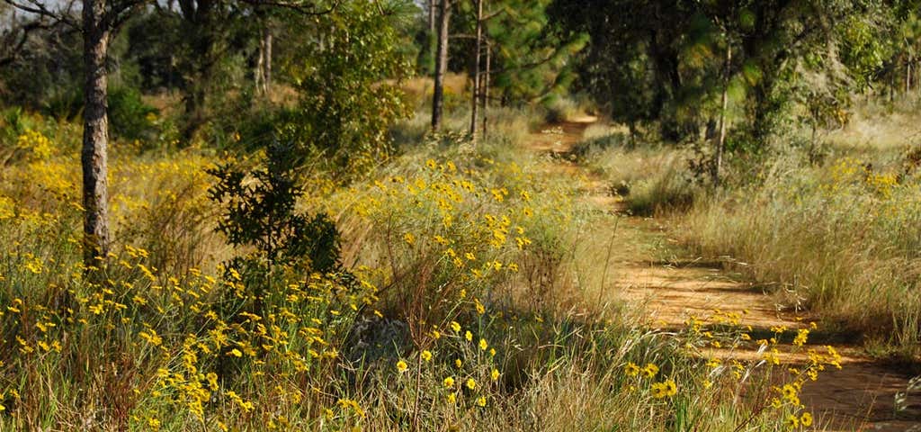 Photo of Job's Garden Trail